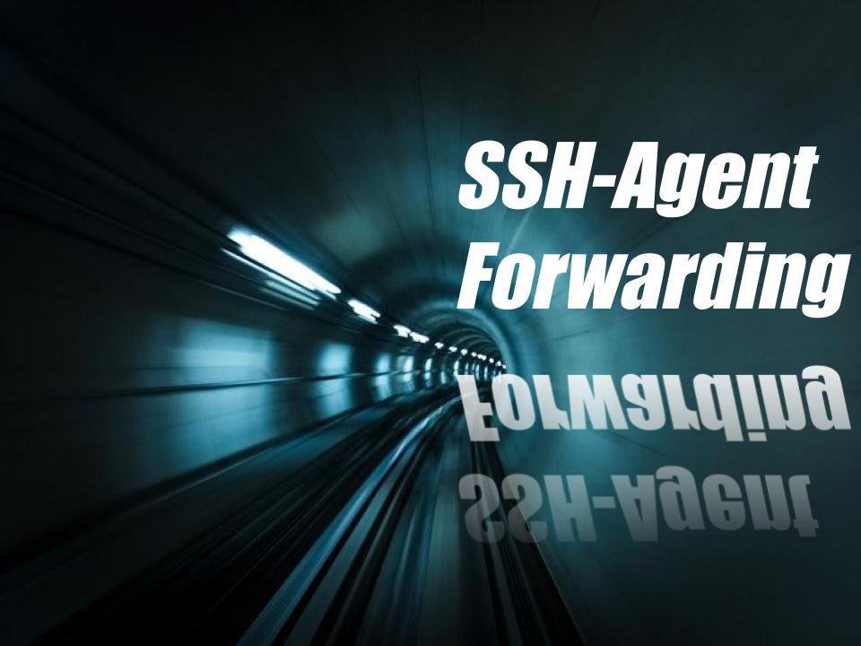 How to Enable SSH-Agent Forwarding Permanently on WSL Ubuntu